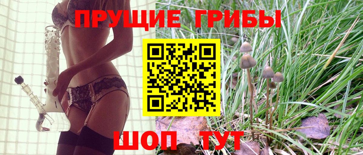 Кемерово  Псилоцибиновые грибы GOLDEN TEACHER  Вход с VPN  Галлюциногенные грибы MAGIC MUSHROOMS 